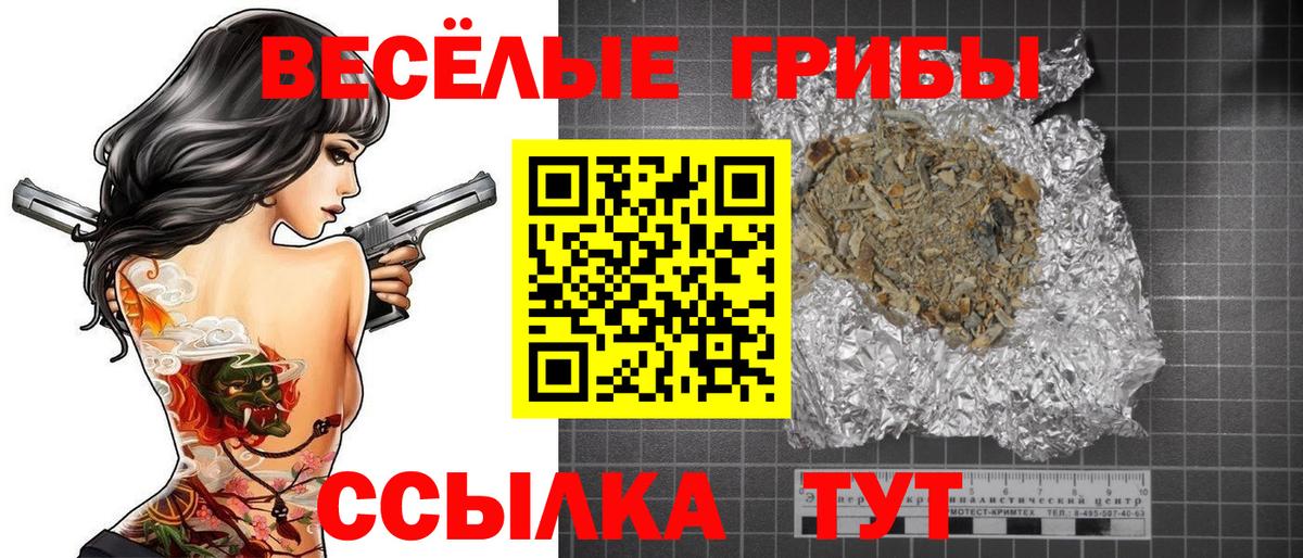 Псилоцибиновые грибы Psilocybine cubensis Приморско-Ахтарск